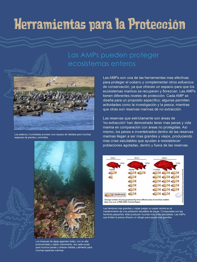 exhibitpanel3spanish-l