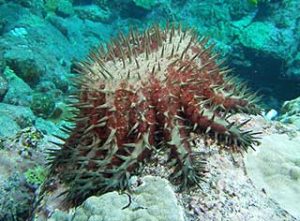 Photo copyright Barry Fackler