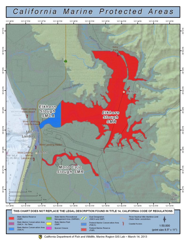 elkhornslough_morocojo-l