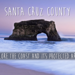 Santa Cruz ORG